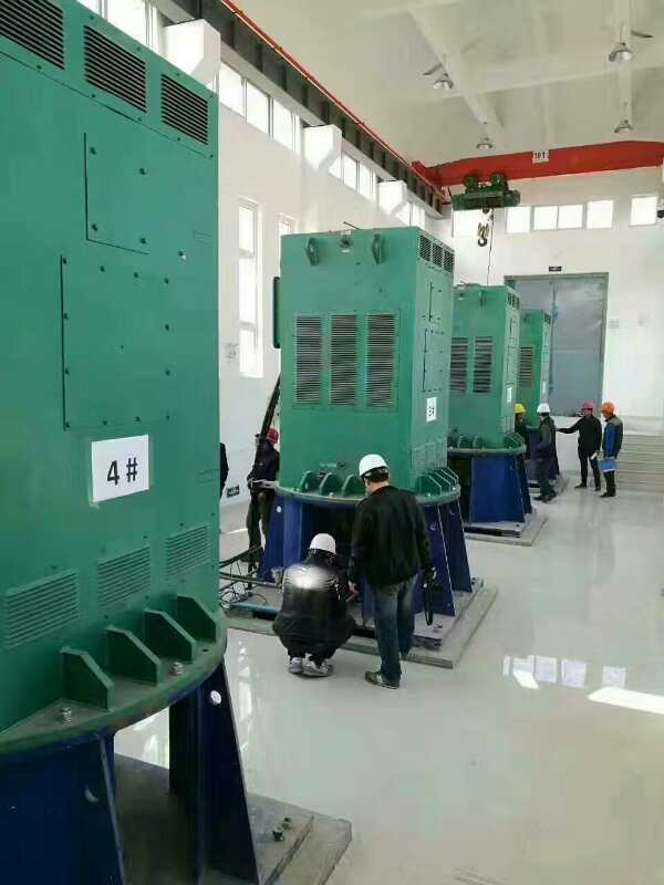 YKK4502-6某污水处理厂使用我厂的立式高压电机安装现场